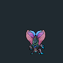 Montura Hibernal Moth