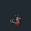 Montura Cinnamon ibex